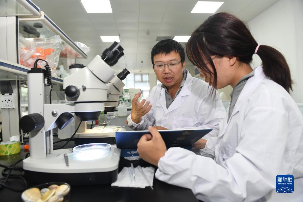 永州同城跑胡子官网